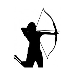 Autocollants Arctec Archery compound - 13170 - Archerie.fr