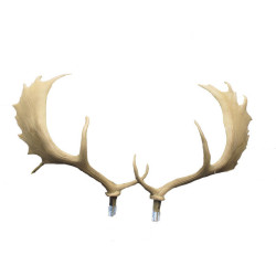 Cible 3D SRT bois de cerf de rechange - 14083 - Archerie.fr