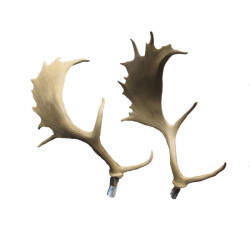Cible 3D SRT bois de cerf de rechange - 14084 - Archerie.fr