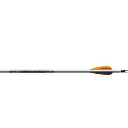Tubes Easton XX75 Platinum Plus en aluminium - 14530 - Archerie.fr