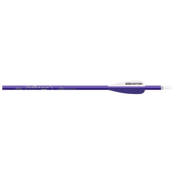 Flèches Easton Genesis NASP en aluminium - 14589 - Archerie.fr