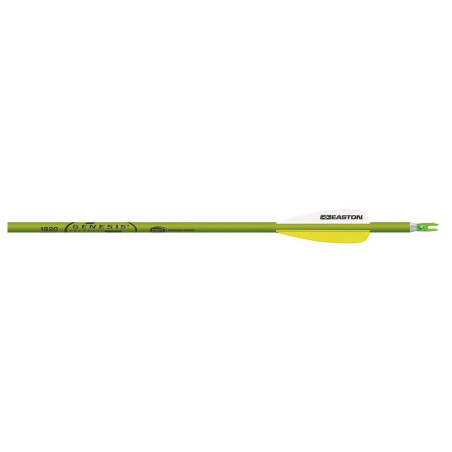 Flèches Easton Genesis NASP en aluminium - 14590 - Archerie.fr