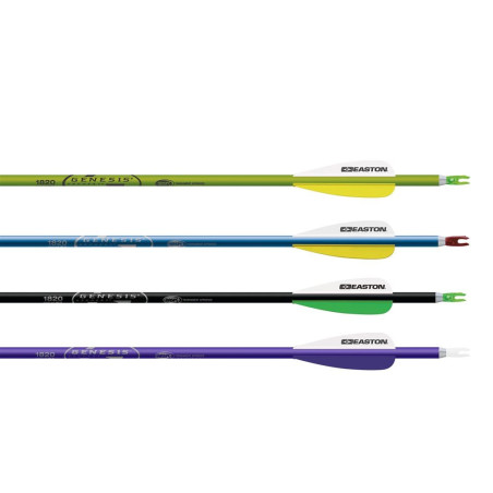 Flèches Easton Genesis NASP en aluminium - 14592 - Archerie.fr