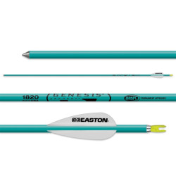 Flèches Easton Genesis NASP en aluminium - 14889 - Archerie.fr