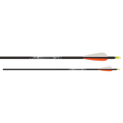 Flèches Easton Gamegetter en aluminium