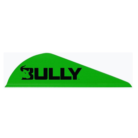 Lot de 100 plumes Easton Bully - 18045 - Archerie.fr