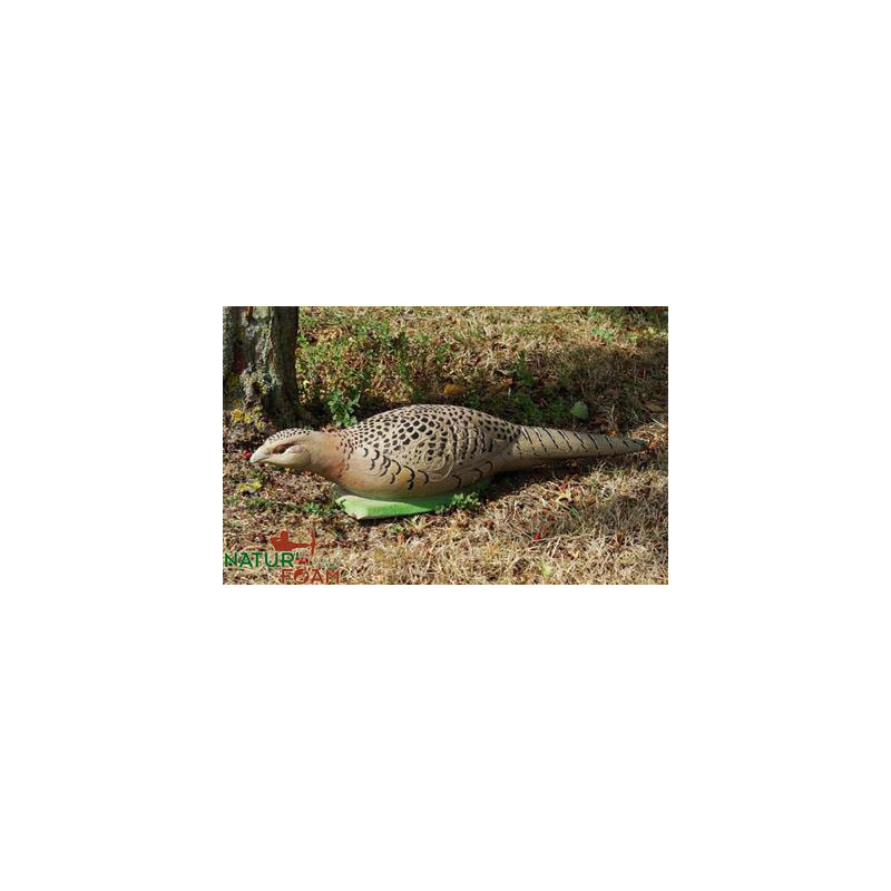 Cible 3D Natur Foam poule faisane