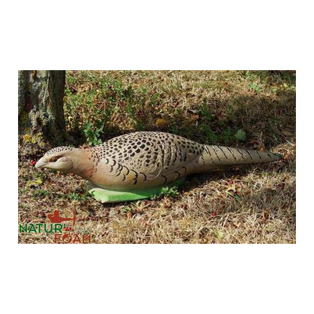 Cible 3D Natur Foam poule faisane
