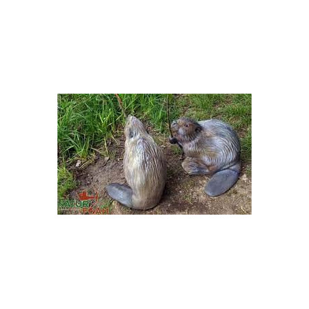 Cible 3D Natur Foam castor assis - 20008 - Archerie.fr