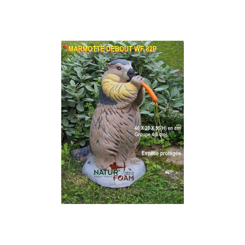Cible 3D Natur Foam marmotte debout - 20035 - Archerie.fr