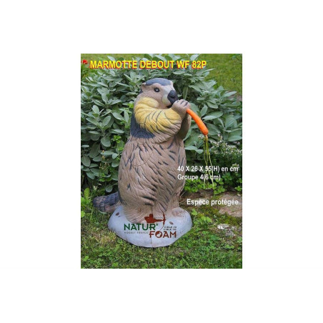 Cible 3D Natur Foam marmotte debout - 20035 - Archerie.fr