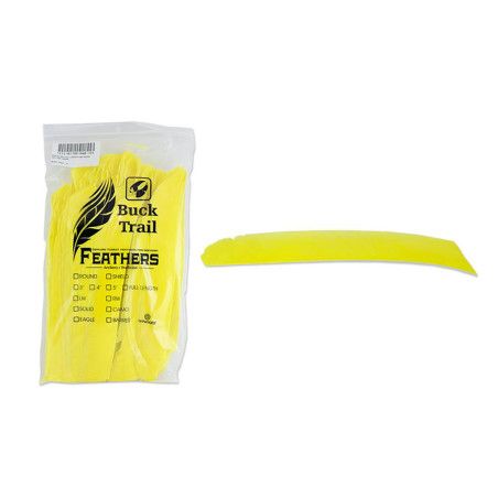 Lot de 100 plumes Buck Trail RW pleine longueur couleur unie - 24323 - Archerie.fr