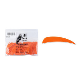 Lot de 100 plumes paraboliques Buck Trail RW 3 pouces couleur unie - 24342 - Archerie.fr