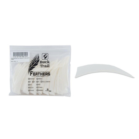 Lot de 100 plumes shield Buck Trail LW 4 pouces couleur unie - 24417 - Archerie.fr