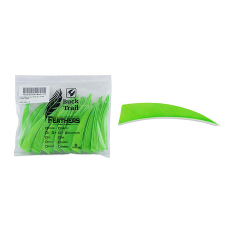 Lot de 100 plumes shield Buck Trail RW 4 pouces couleur unie - 24439 - Archerie.fr