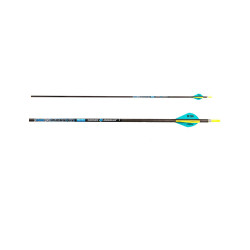 Lot de 12 flèches Skylon Phoric ID6.2 en carbone