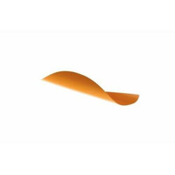 Plumes 1 3/4 pouce Spin-Wing - 7622 - Archerie.fr
