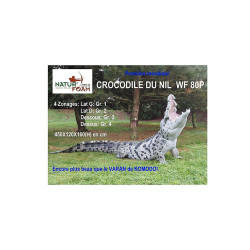 Cible 3D Natur Foam Crocodile