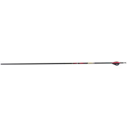Flèche Sanlida Dragon 10 carbone 6.2mm | Archerie.fr