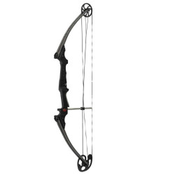 Arc à poulies Mathews Genesis - 3793 - Hattila