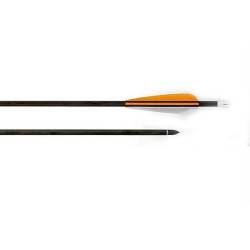 Flèche de tir à l'arc 30 pouces (76cm), carbone - 1177 - Hattila