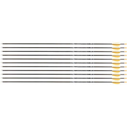 Kit Carquois Avalon Tyro+ : Accessoires et Flèches | Archerie.fr