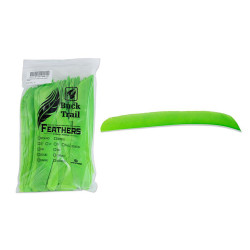 Lot de 100 plumes Buck...