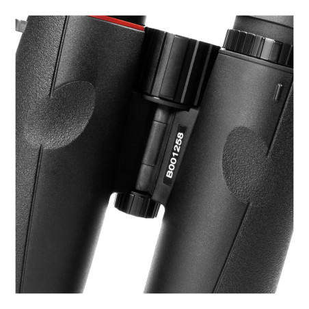 Jumelles Kite Optics Ursus 8x32