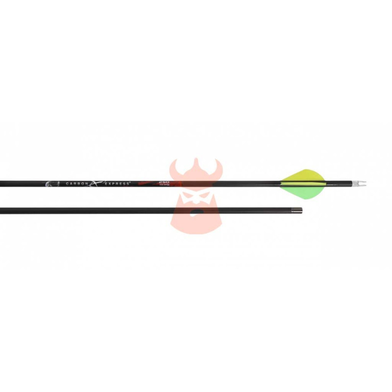 Flèches Carbon Express Terminator PTX