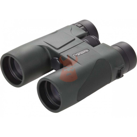 Jumelles 39Optics 8x42 Green