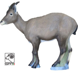 Cible 3D SRT Ibex Femina Groupe 2
