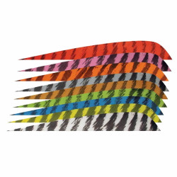 Empennage Gateway Feather 4" Parabolic RW Barred