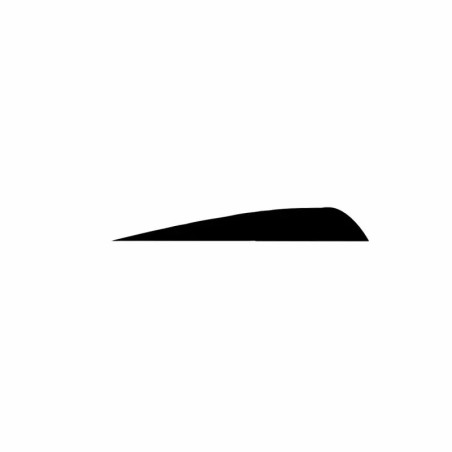 Empennage Gateway Feather 4" Parabolic RW Barred