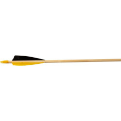 12 Flèches en Bois Débutant Buck Trail, Bois d'Épicéa 11/32, 30", Plumes 4", Encoche, Pointe Acier 100gr