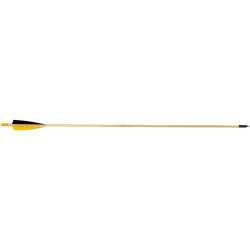 12 Flèches en Bois Débutant Buck Trail, Bois d'Épicéa 11/32, 30", Plumes 4", Encoche, Pointe Acier 100gr