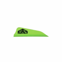 Empennage AAE Arizona Airazr Pro