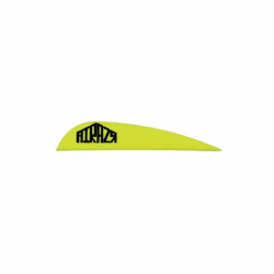 Empennage AAE Arizona Vane