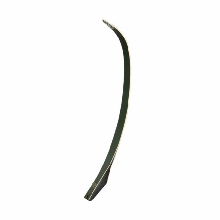 Branches Bear Archery TD Limbs