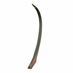 Branches Bear Archery TD Limbs