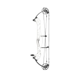 Arc à poulies Hoyt Concept XTS 37 CDM
