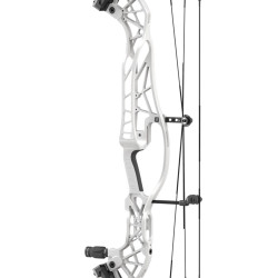 Arc à poulies Hoyt Concept XTS 37 TDM