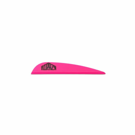 Empennage AAE Arizona Airazr 23