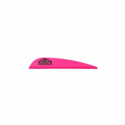Empennage AAE Arizona Airazr 23