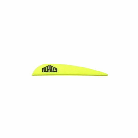 Empennage AAE Arizona Airazr 23