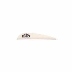 Empennage AAE Arizona Airazr 23