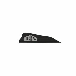 Empennage AAE Arizona Airazr Hunter