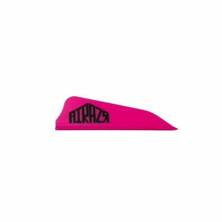 Empennage AAE Arizona Airazr Hunter