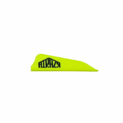 Empennage AAE Arizona Airazr Hunter