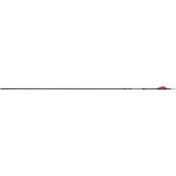 Tube de flèche Carbonexpress Carbon Nano-Pro RZ