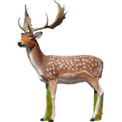 Cible 3D SRT Fallow Deer
